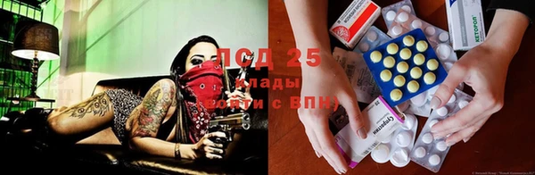 амф Балахна
