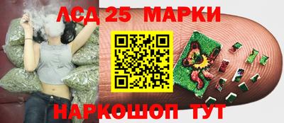spice Баксан