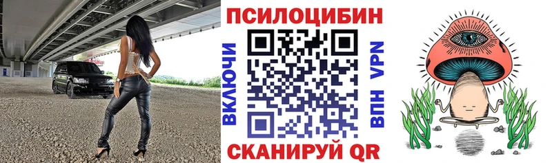 Псилоцибиновые грибы Psilocybine cubensis  маркетплейс какой сайт  МЕГА рабочий сайт  Белогорск  даркнет сайт 